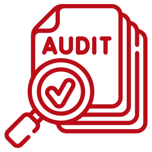 Audit-&--Assurance